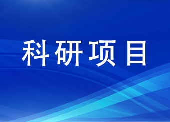 2021年安徽省内部审计协会科研课题立项名单