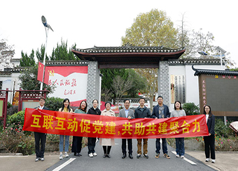 互联互动促党建，共助共建聚合力 ——安徽新华学院赴巢湖市柘皋镇汪桥村开展党建共建调研